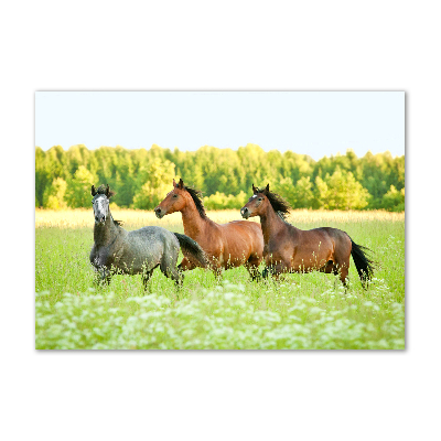 Glass acrylic wall art Horses at gallop