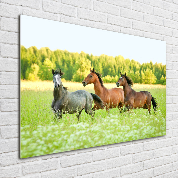 Glass acrylic wall art Horses at gallop