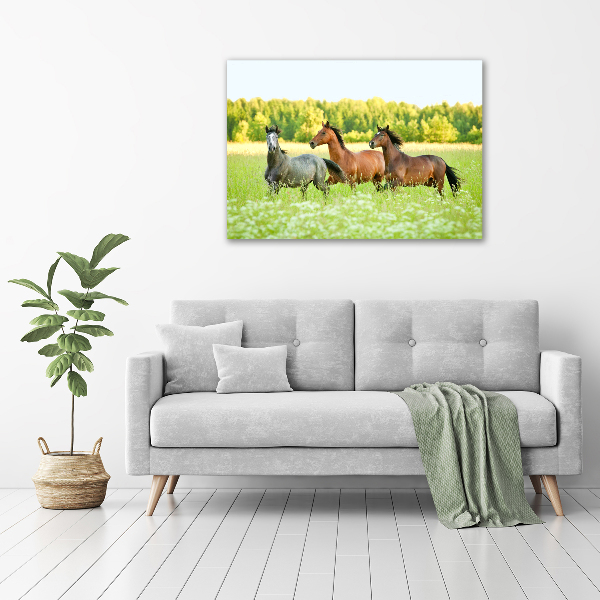 Glass acrylic wall art Horses at gallop