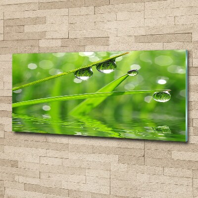 Acrylic wall art Drops on the grass