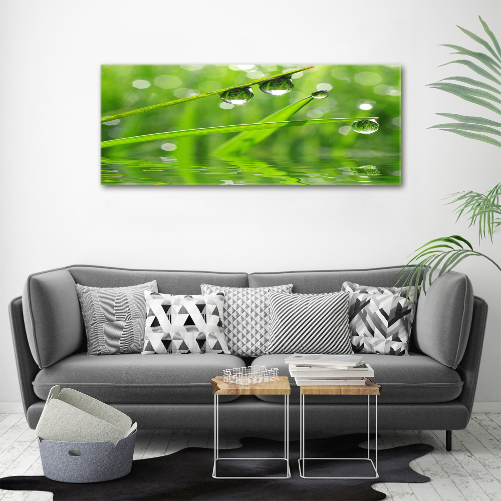 Acrylic wall art Drops on the grass