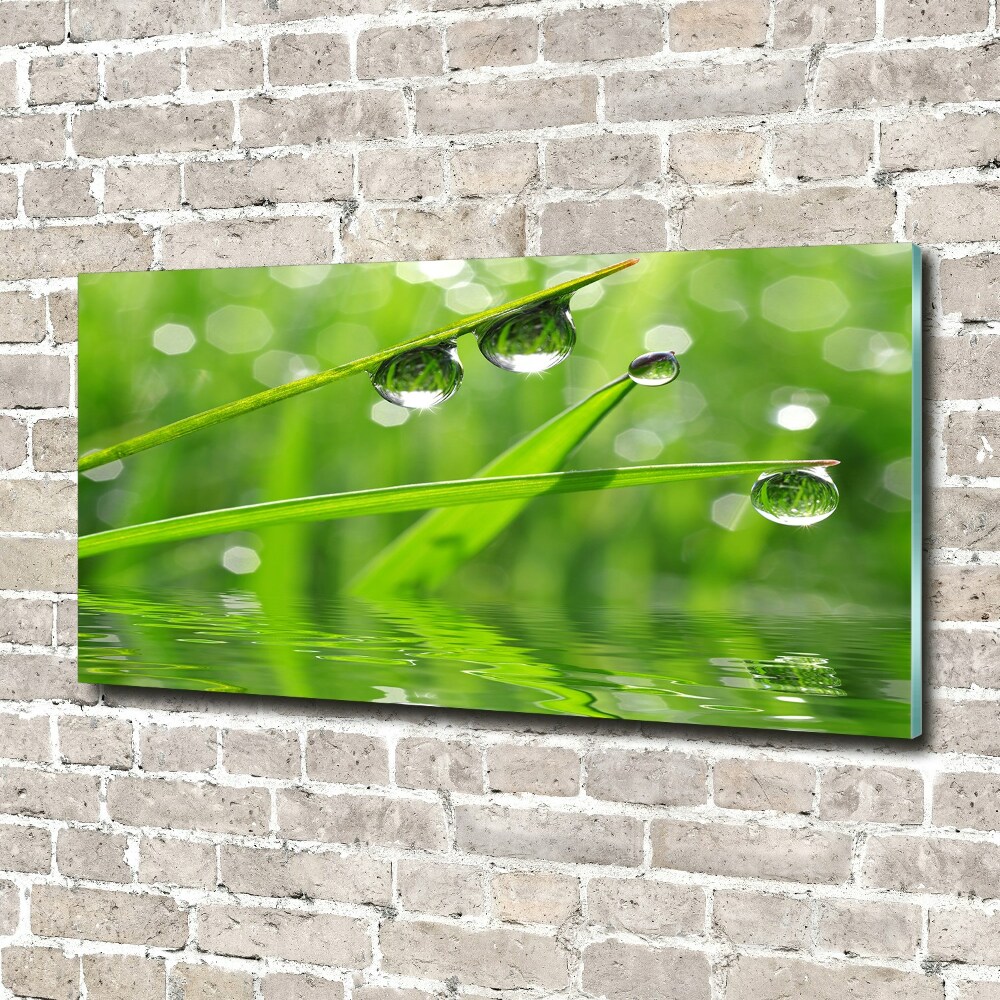 Acrylic wall art Drops on the grass