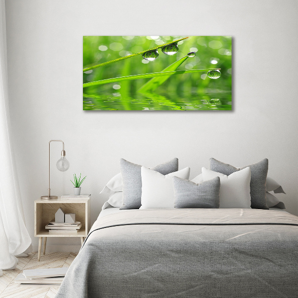 Acrylic wall art Drops on the grass