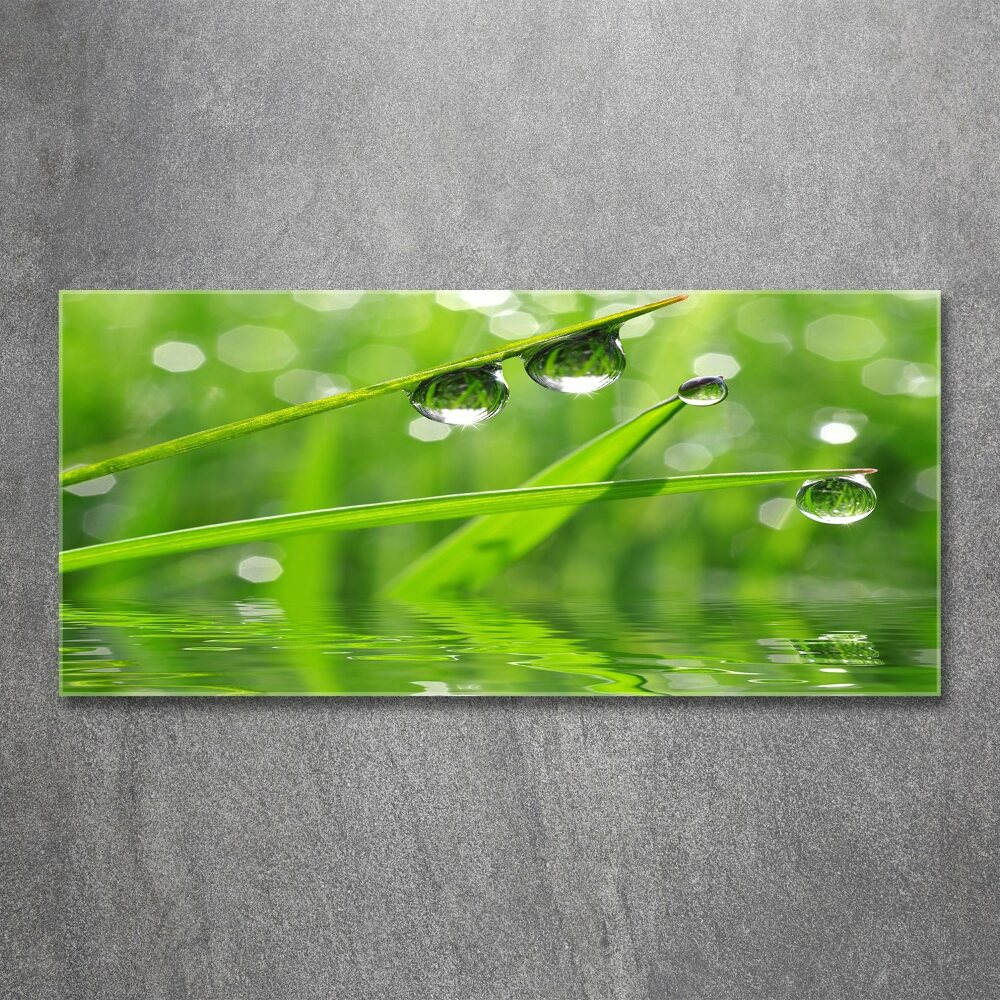 Acrylic wall art Drops on the grass