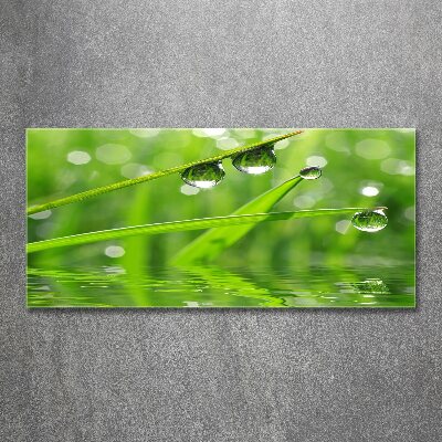 Acrylic wall art Drops on the grass