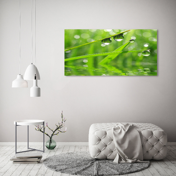 Acrylic wall art Drops on the grass