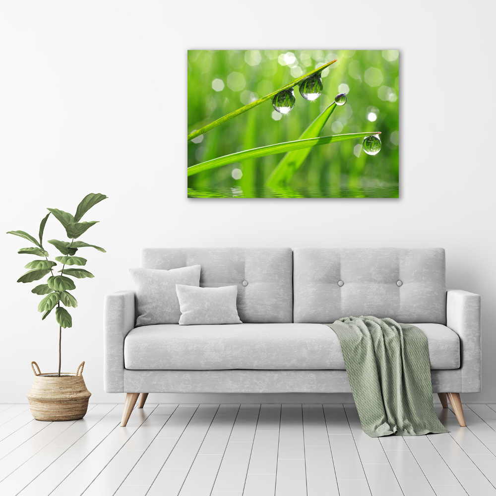 Acrylic wall art Drops on the grass