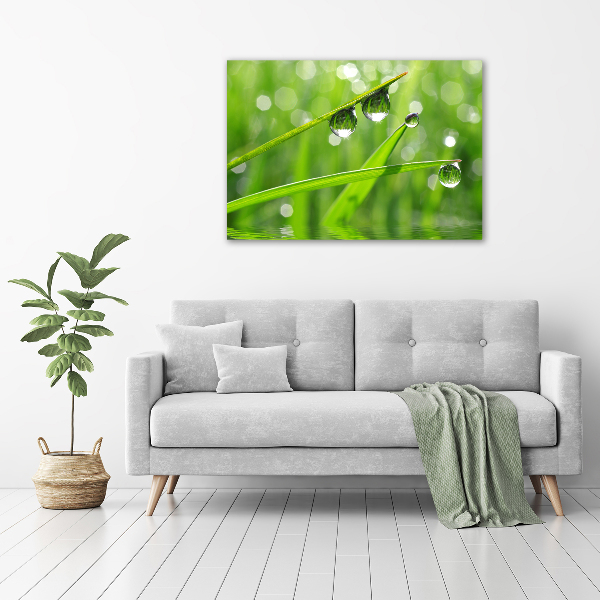 Acrylic wall art Drops on the grass