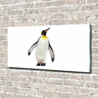 Glass acrylic wall art Penguin