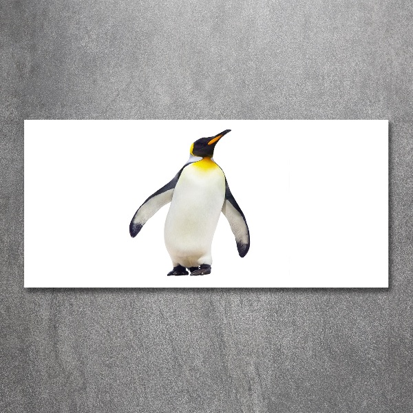 Glass acrylic wall art Penguin