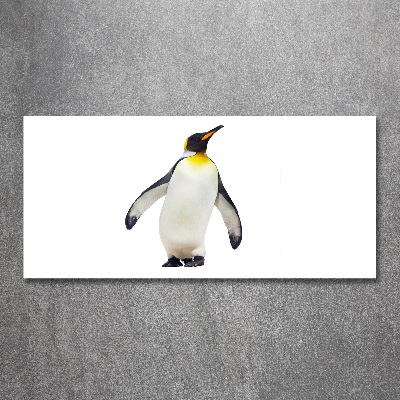 Glass acrylic wall art Penguin