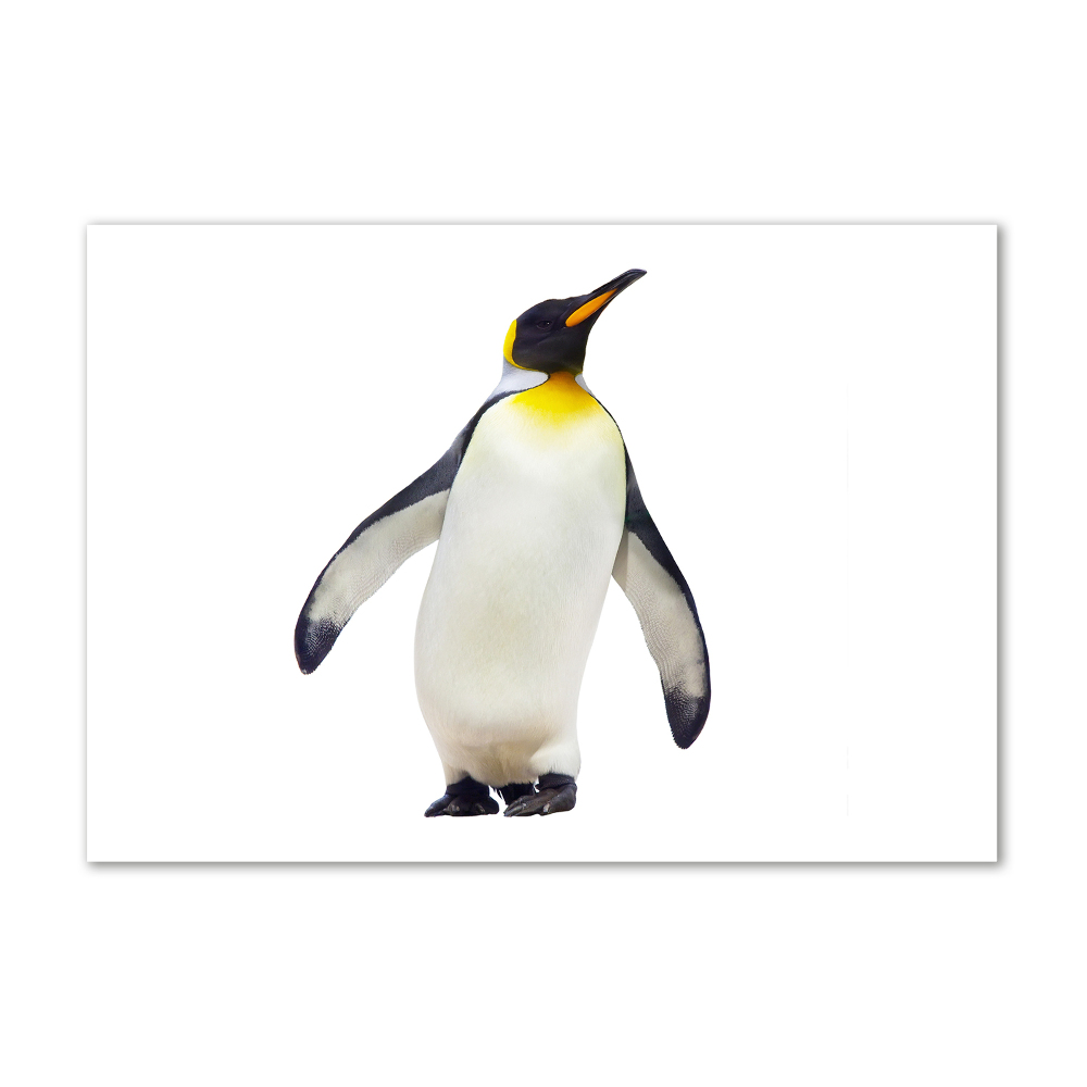 Glass acrylic wall art Penguin