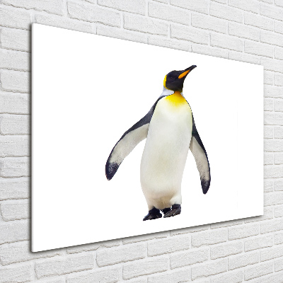 Glass acrylic wall art Penguin