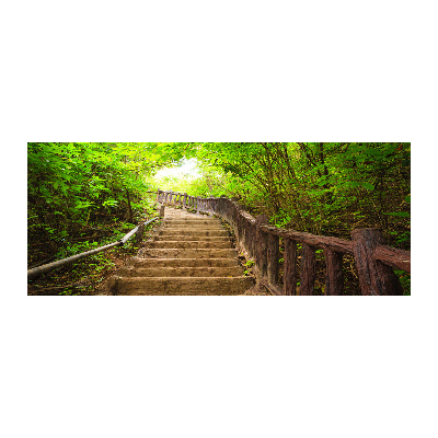 Acrylic print Stairs in the forest