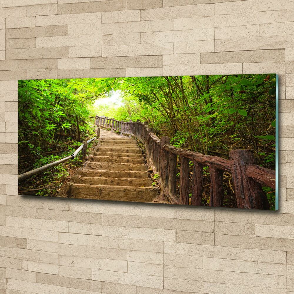 Acrylic print Stairs in the forest