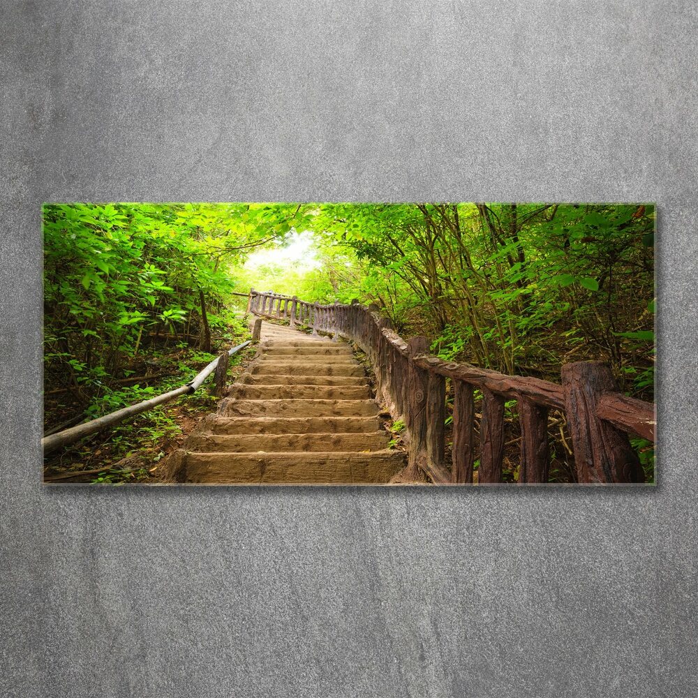 Acrylic print Stairs in the forest