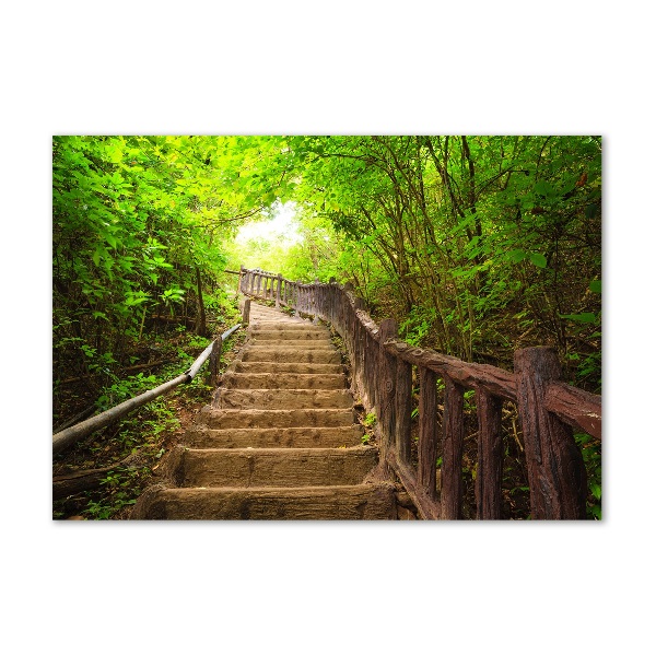 Acrylic print Stairs in the forest