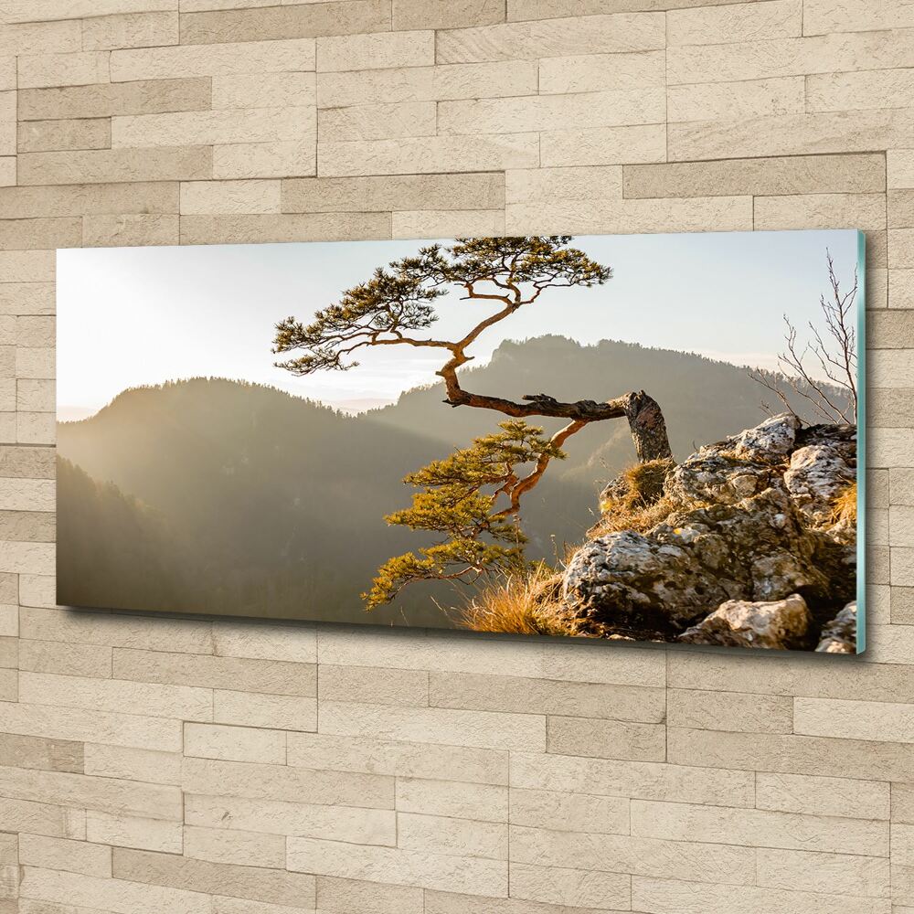 Wall art acrylic Sokolica Pieniny