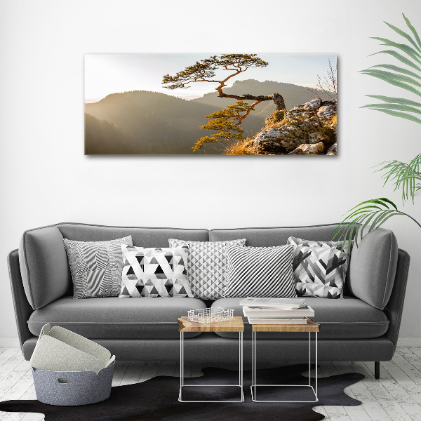 Wall art acrylic Sokolica Pieniny