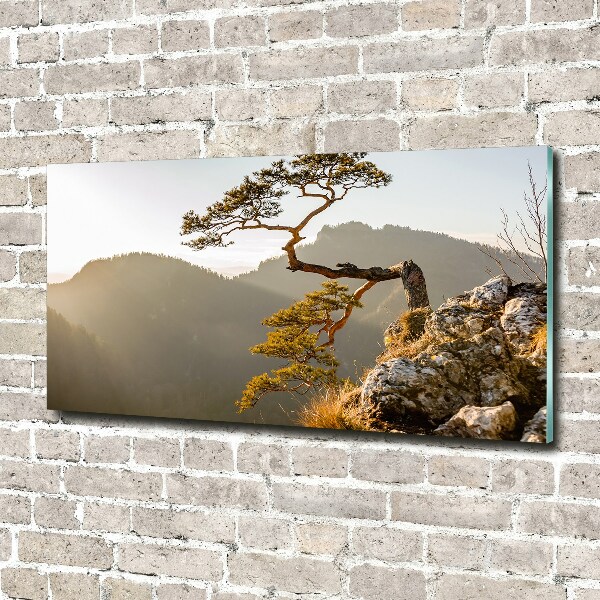 Wall art acrylic Sokolica Pieniny