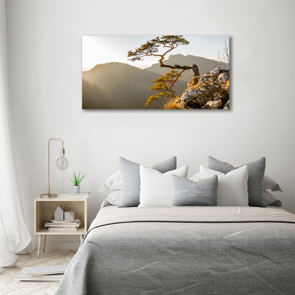 Wall art acrylic Sokolica Pieniny