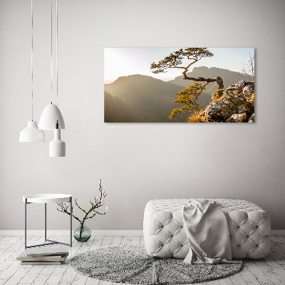 Wall art acrylic Sokolica Pieniny