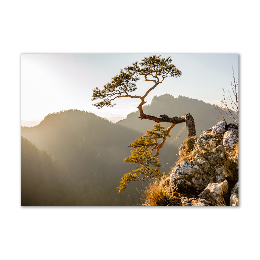 Wall art acrylic Sokolica Pieniny