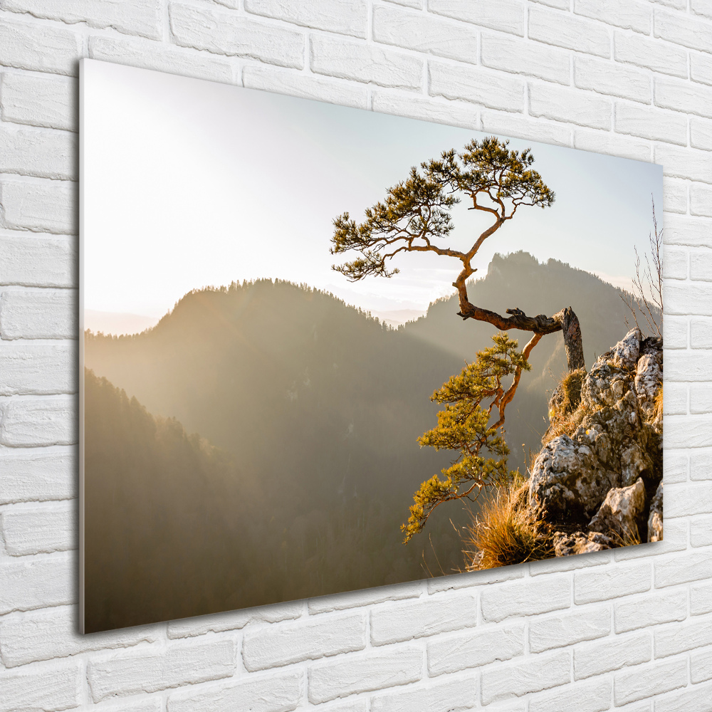 Wall art acrylic Sokolica Pieniny