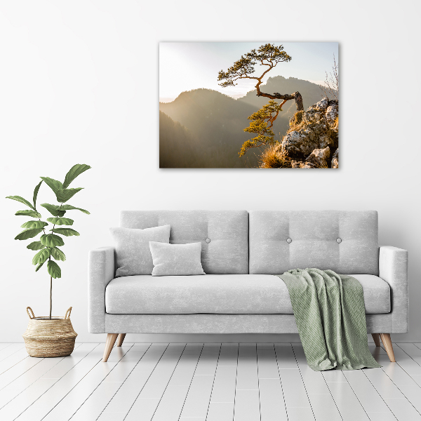 Wall art acrylic Sokolica Pieniny