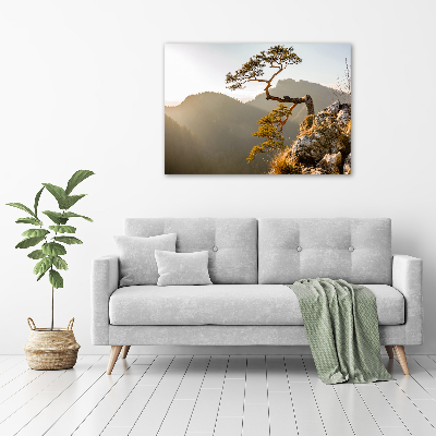 Wall art acrylic Sokolica Pieniny