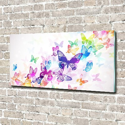 Glass acrylic wall art Colorful butterflies