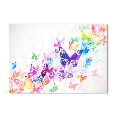 Glass acrylic wall art Colorful butterflies