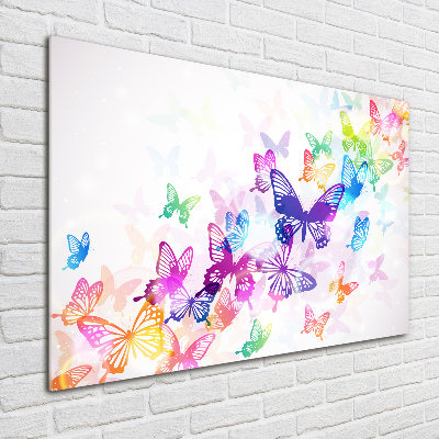 Glass acrylic wall art Colorful butterflies