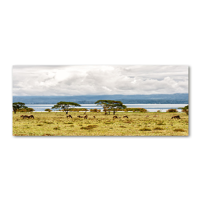 Print on acrylic Naivasha Lake