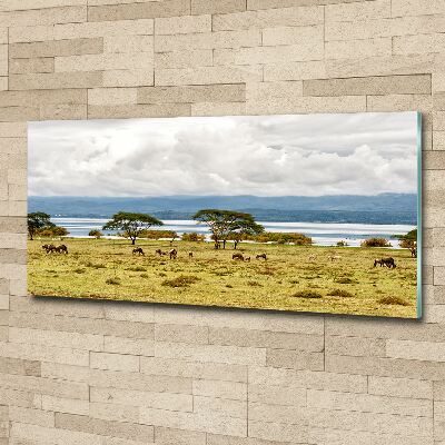 Print on acrylic Naivasha Lake