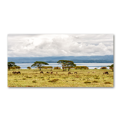 Print on acrylic Naivasha Lake