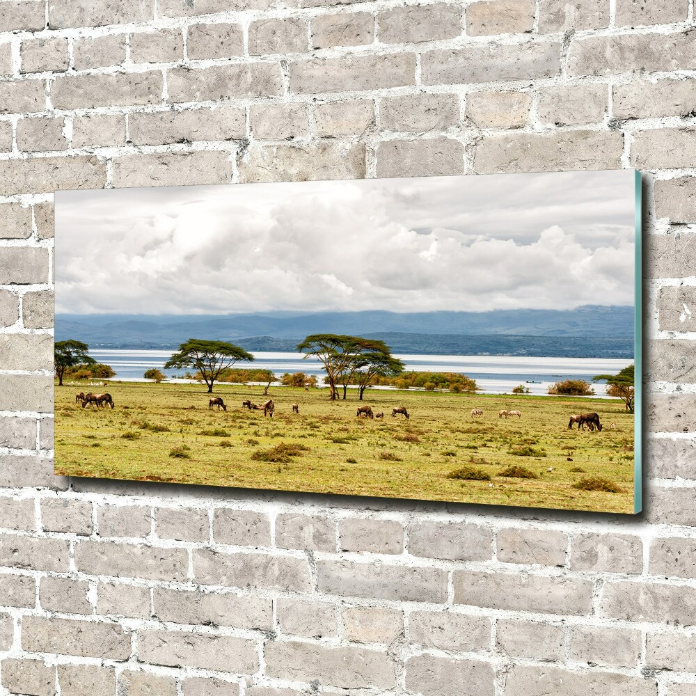 Print on acrylic Naivasha Lake