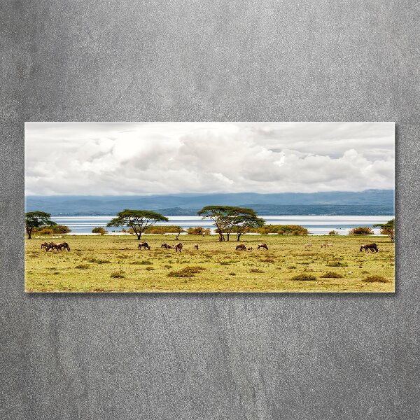 Print on acrylic Naivasha Lake