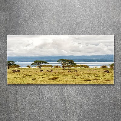 Print on acrylic Naivasha Lake