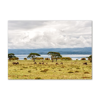 Print on acrylic Naivasha Lake