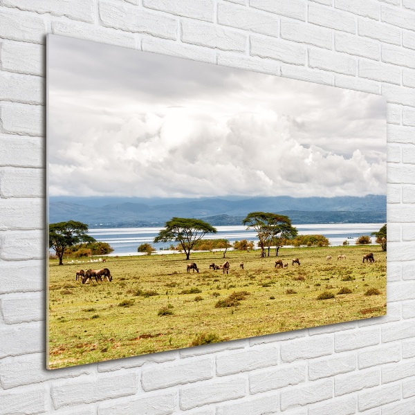 Print on acrylic Naivasha Lake