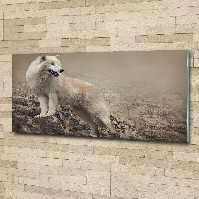 Glass acrylic wall art White wolf on the rock