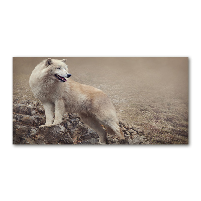 Glass acrylic wall art White wolf on the rock