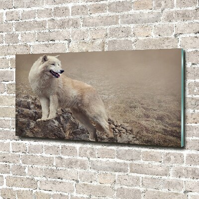 Glass acrylic wall art White wolf on the rock