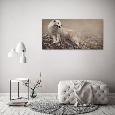 Glass acrylic wall art White wolf on the rock