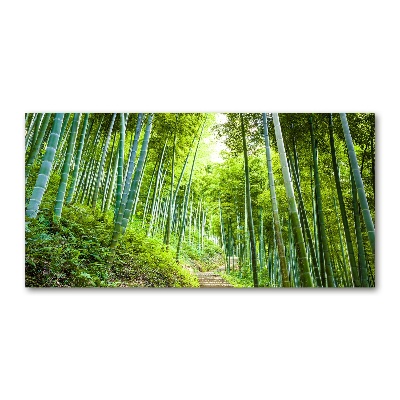 Print on acrylic Bamboo forest