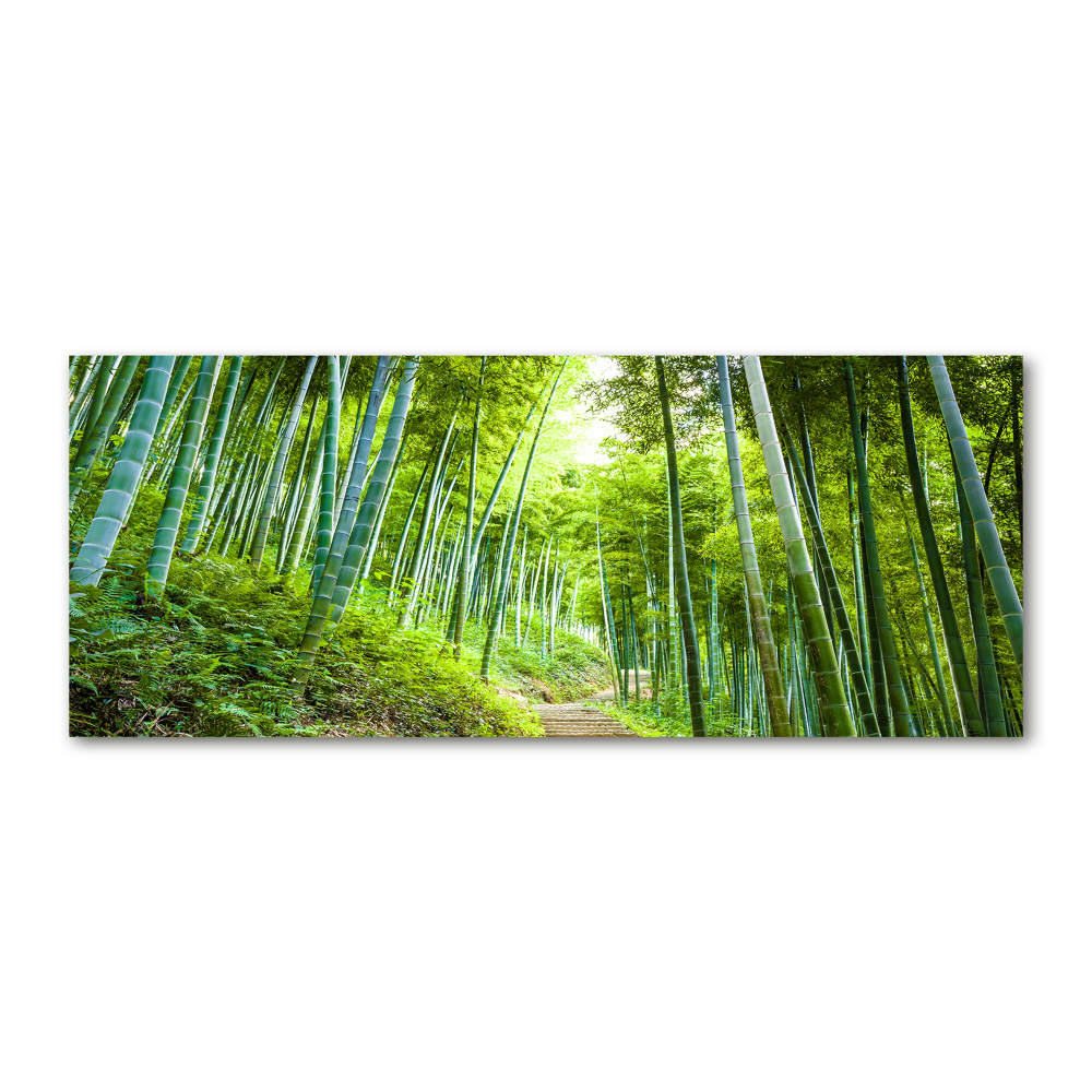 Print on acrylic Bamboo forest