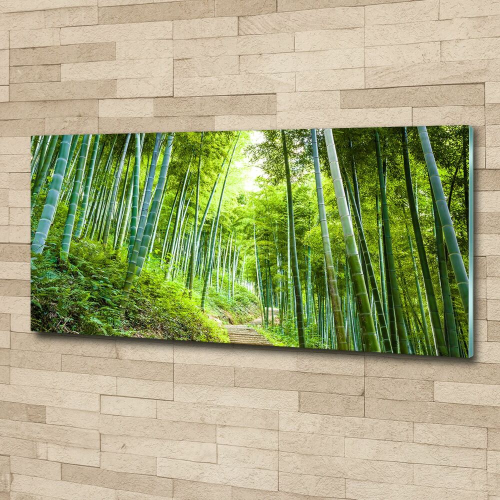 Print on acrylic Bamboo forest