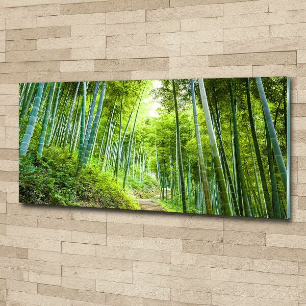 Print on acrylic Bamboo forest