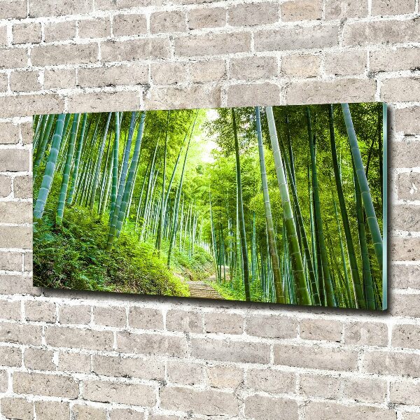 Print on acrylic Bamboo forest